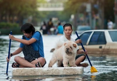 couple and dog paddling through flooded road.