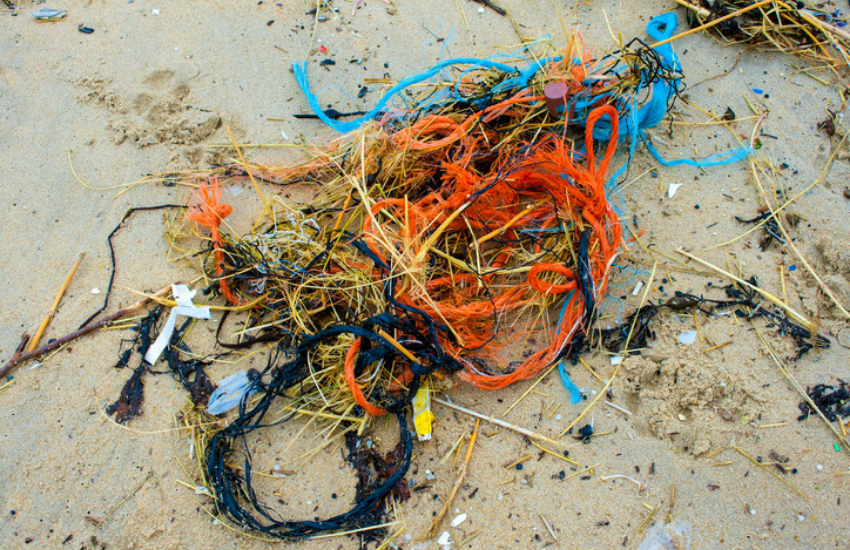 Rubbish on the shoreline
