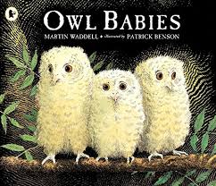 Owl babies Cover