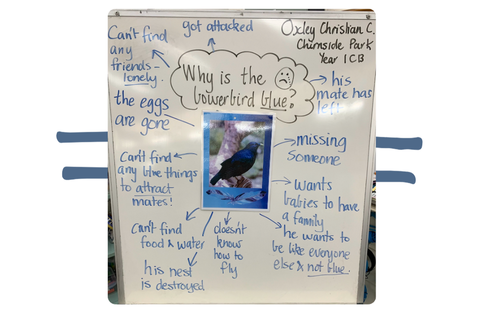 Seven Steps activities for Book Week 2024 - Ideas and activities