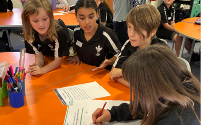Invermay students collaborating